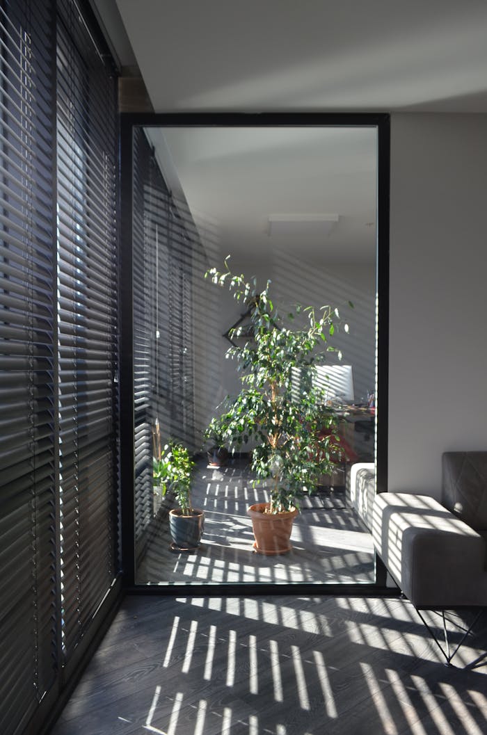 Sunlit modern apartment interior with large glass wall and vibrant indoor plants.